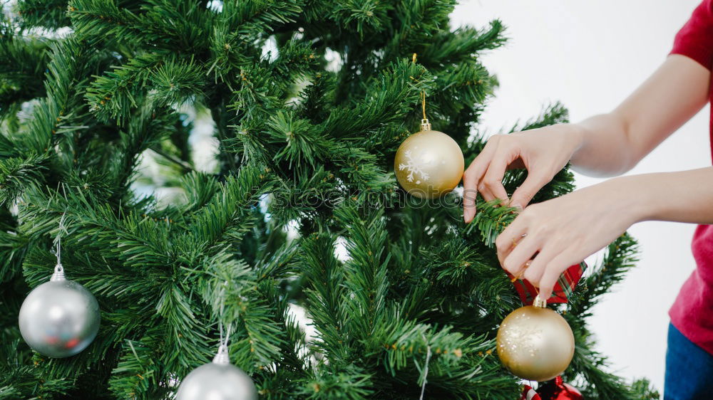 Similar – Young girl and her little sister decorating Christmas tree