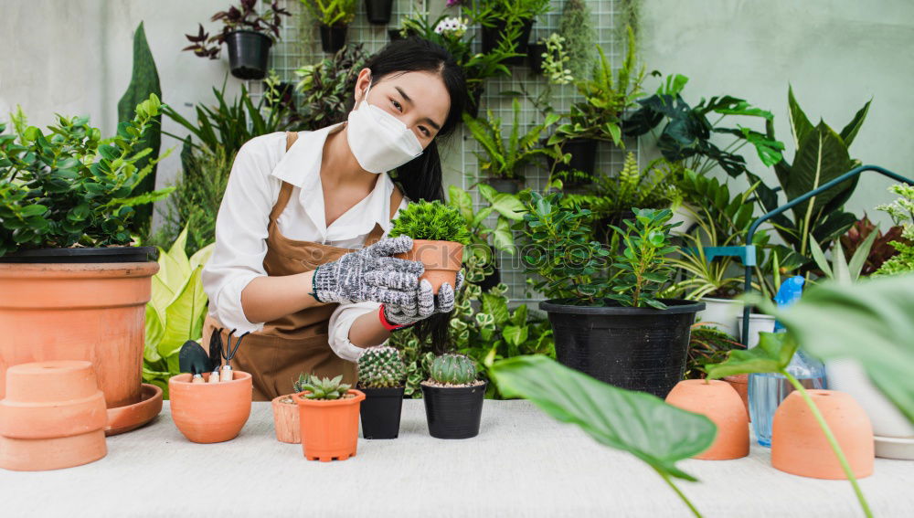 Image, Stock Photo Woman gardener, planting cactus plant in a pot