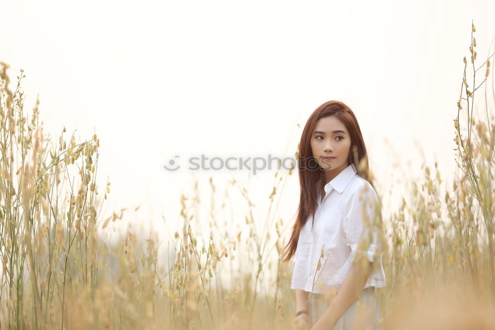 Image, Stock Photo On the footbridge Summer