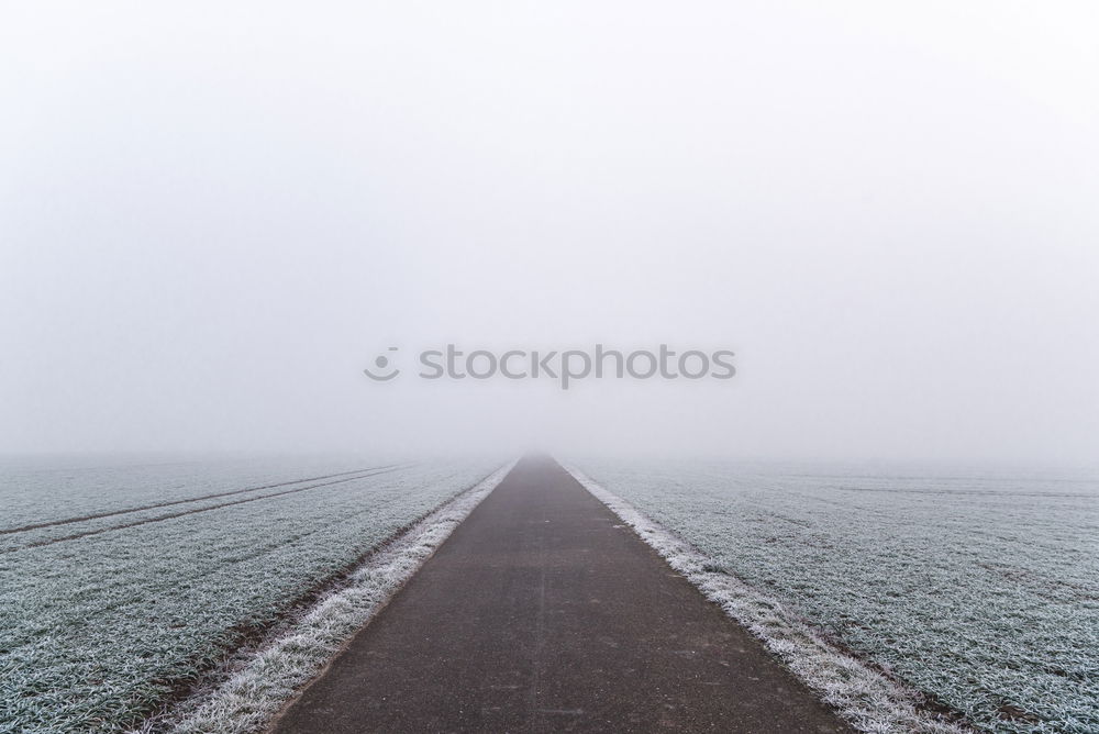 Similar – Away in winter with reindeer in Scotland