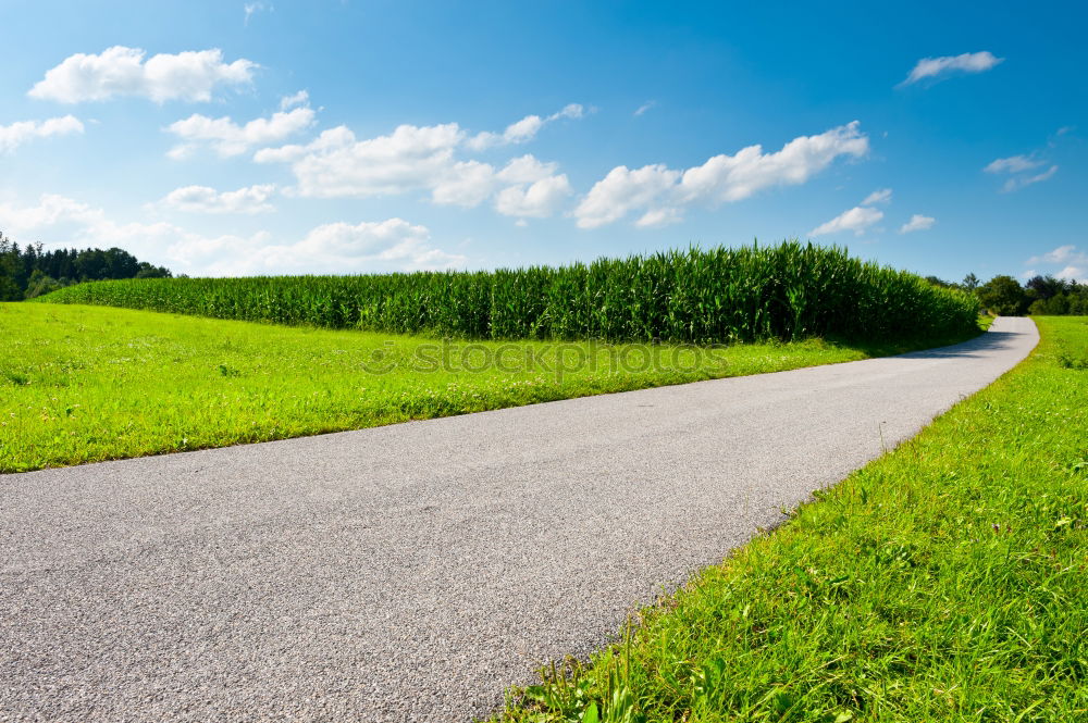 Similar – Image, Stock Photo HOME WAY Cycle path