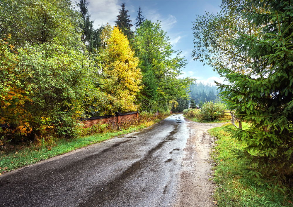 Image, Stock Photo Autumn in the Pyrenees