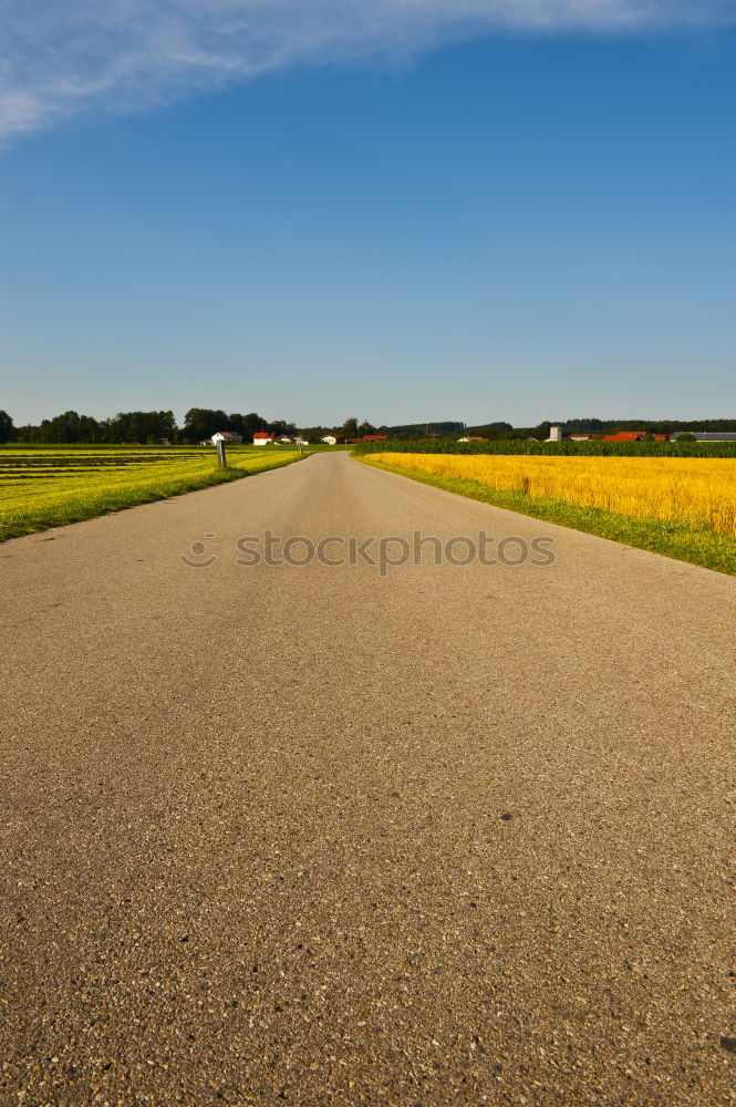 Similar – Image, Stock Photo What’s the difference? Can’t speak French.