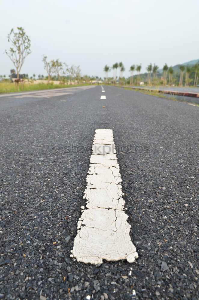 Similar – Foto Bild On the Road. Wildtier