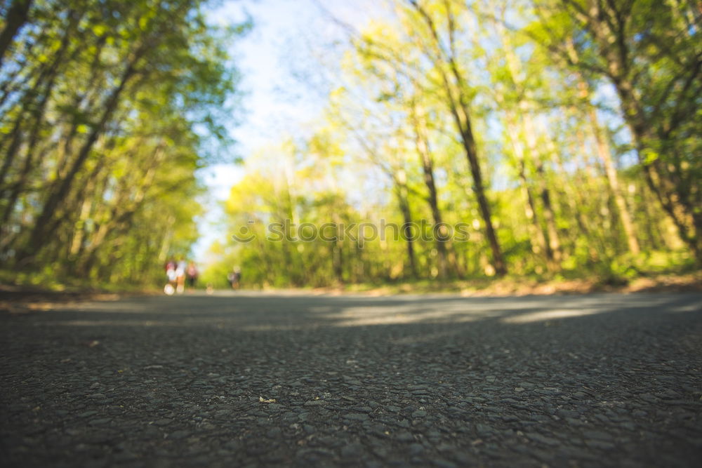 Similar – Image, Stock Photo Racing cyclist in sportswear rides his bike on an Italian country road