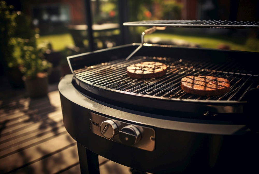 Similar – Image, Stock Photo barbecue Nutrition Dinner