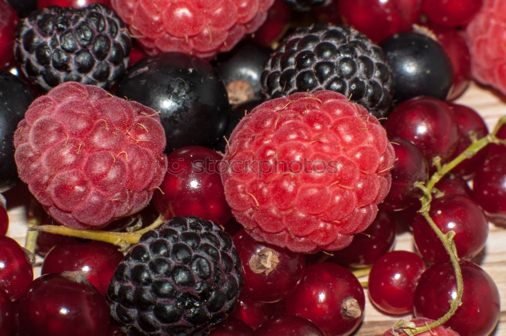 Similar – Image, Stock Photo Raspberries in close-up