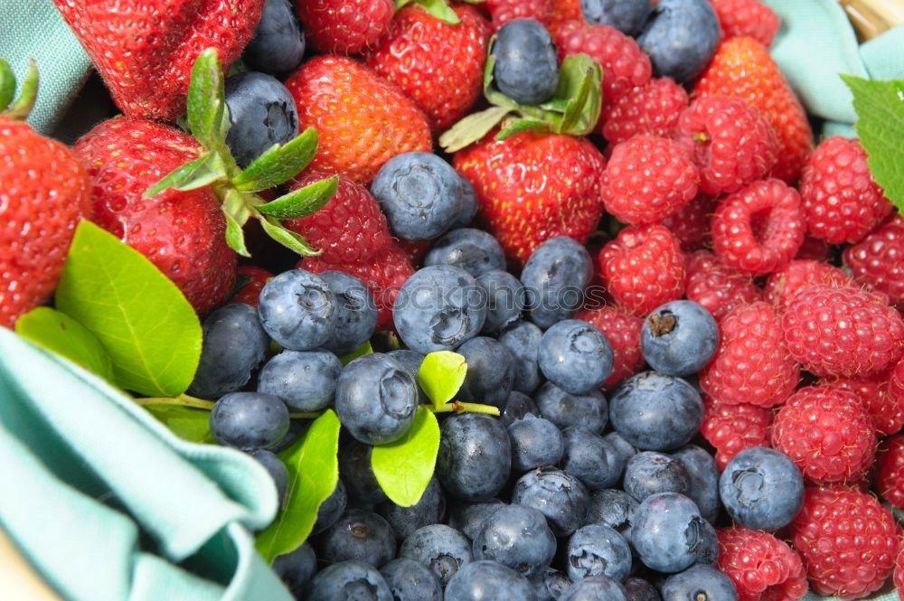 Similar – Image, Stock Photo berry collection Food