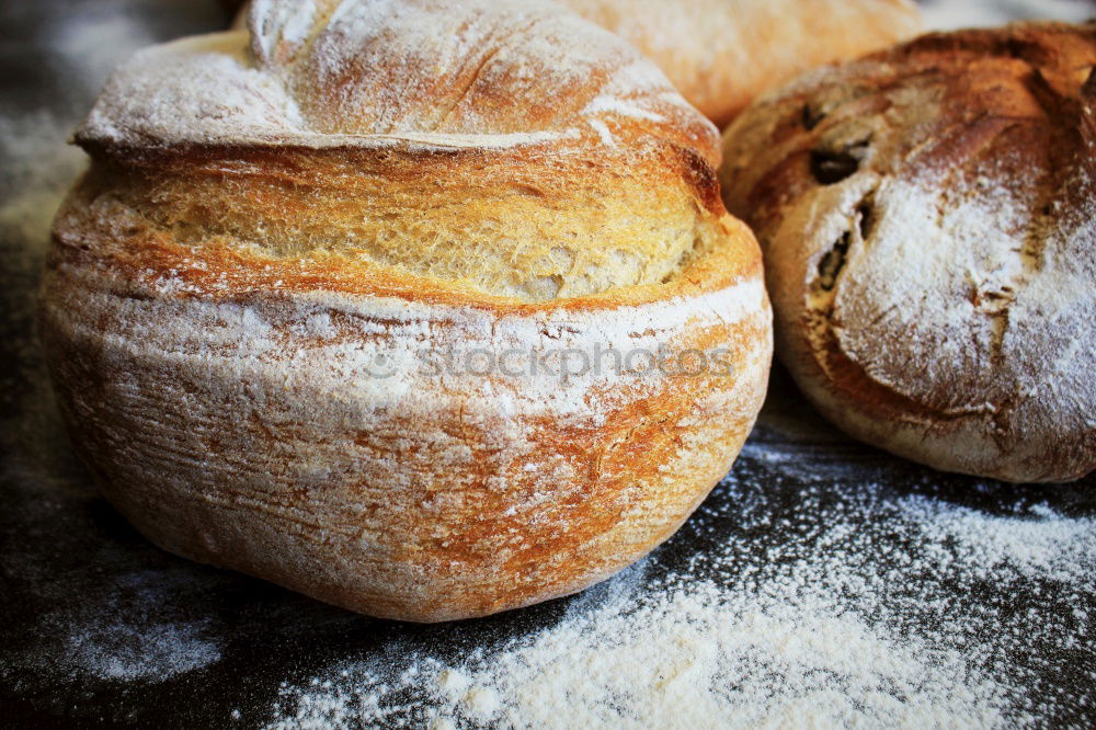 Similar – Image, Stock Photo baked round white wheat bread