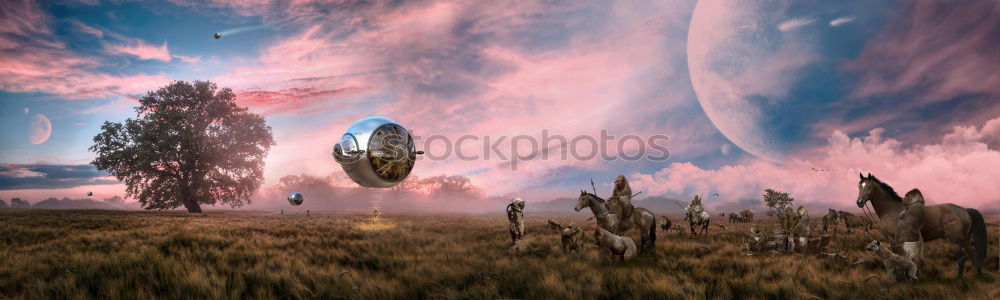 Similar – Image, Stock Photo pink flowering heathe at sunset, Wilsede, Germany