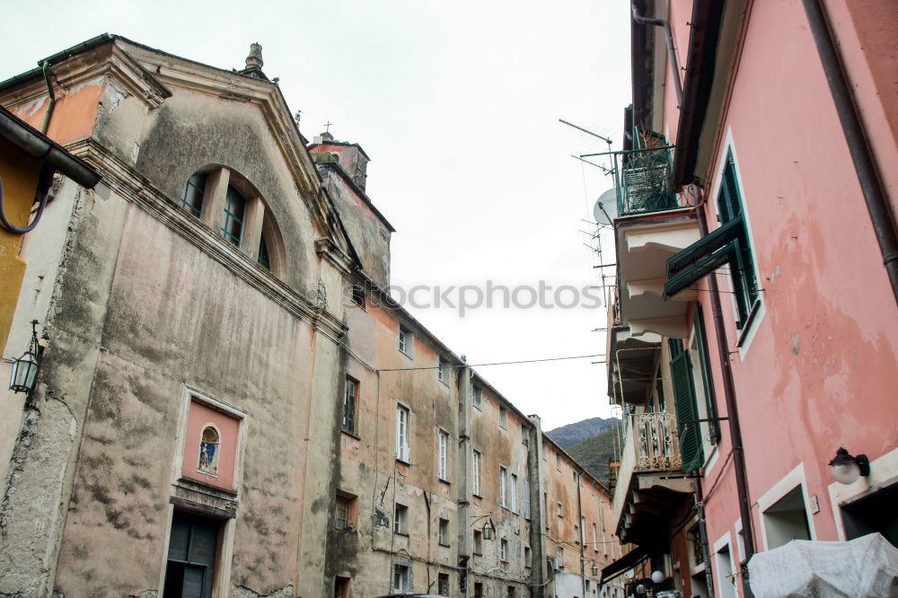 Similar – Pigeon at Bairro Alto