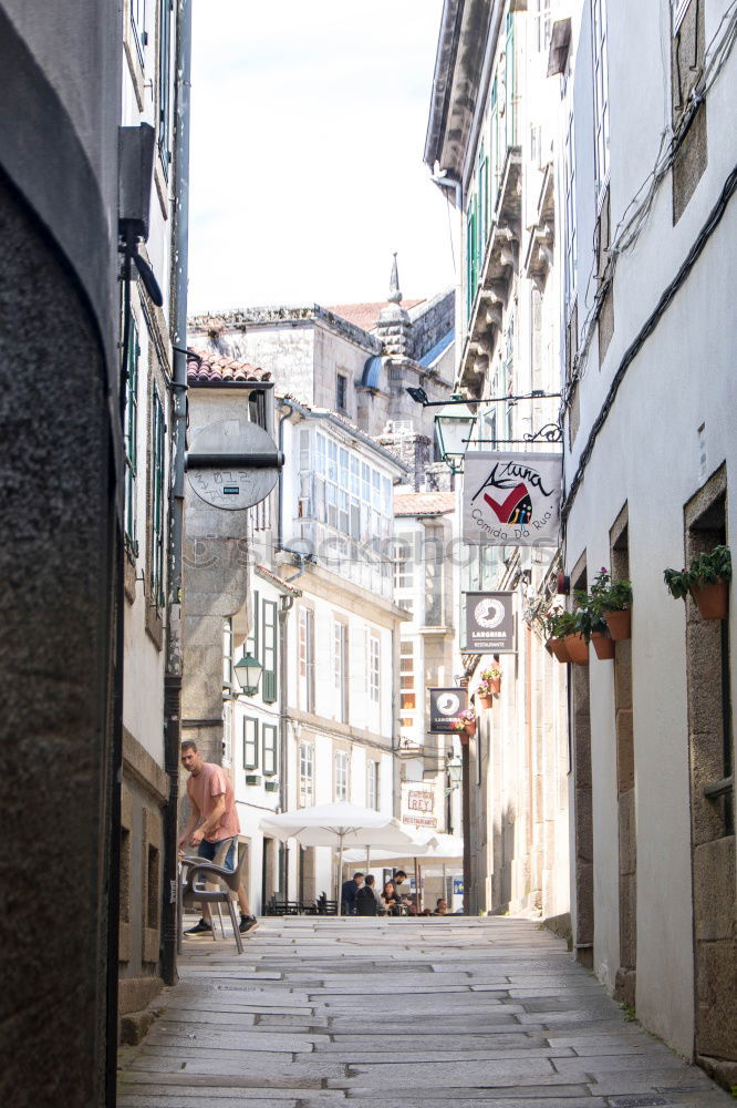 Pigeon at Bairro Alto