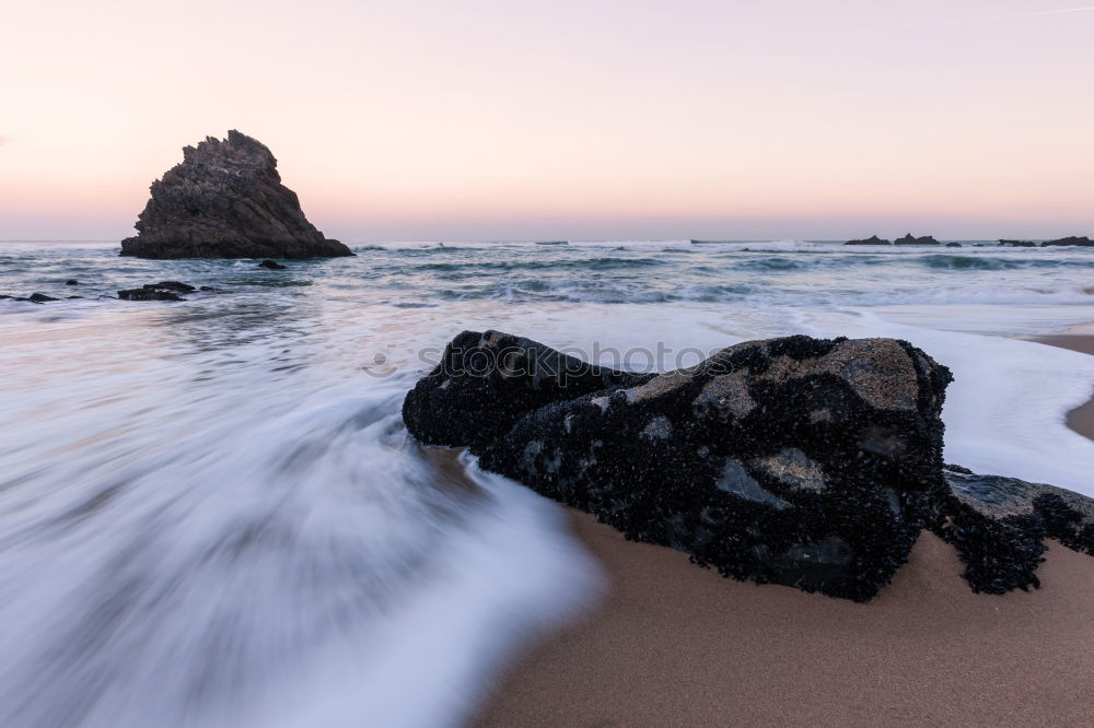 Similar – Image, Stock Photo Costa Brava beach Girona