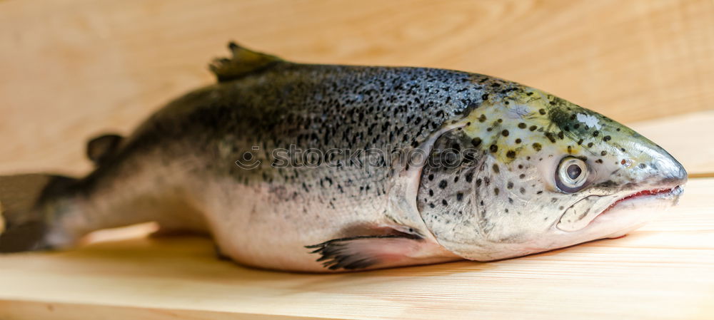 Similar – Image, Stock Photo Saithe fillet in Alt Fish