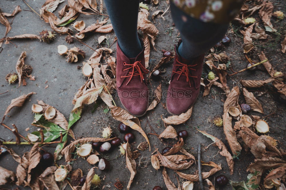 Two old brown shoes with red laces and youthful legs from above