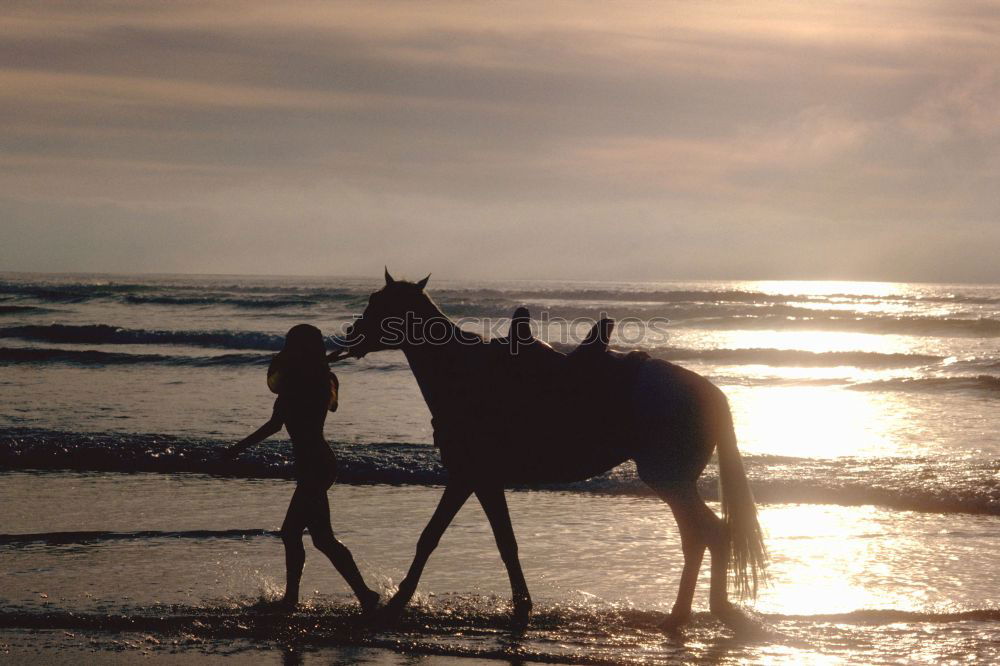 Similar – Kind umarmt Hund am Meer