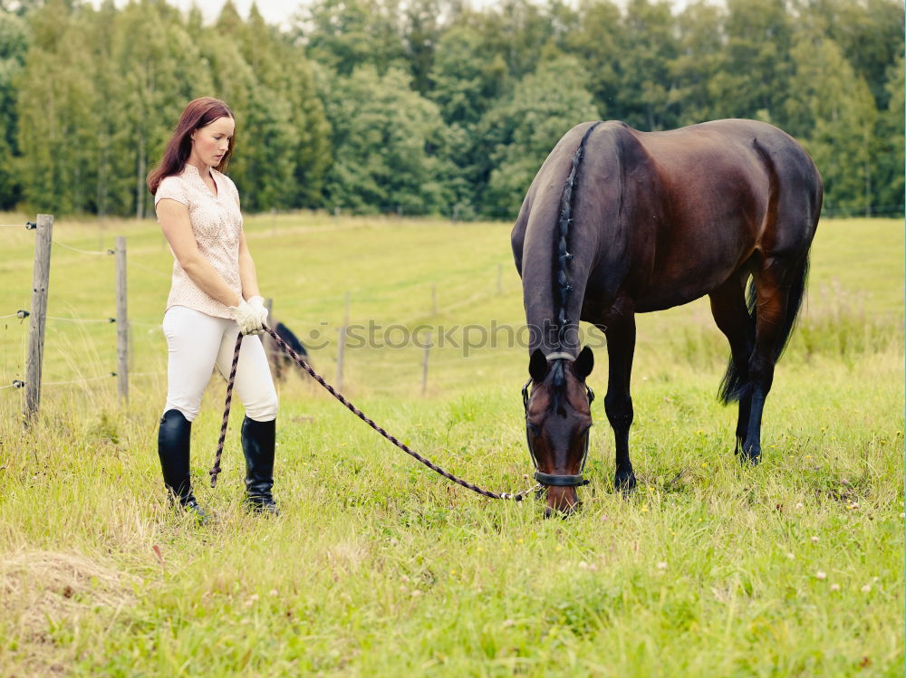 Similar – Image, Stock Photo Beautiful young rider woman with horse in nature. Love and friendship between man and animal. Portrait in landscape near horse stable of riding farm with riding school or farm with pet for hobby riding.