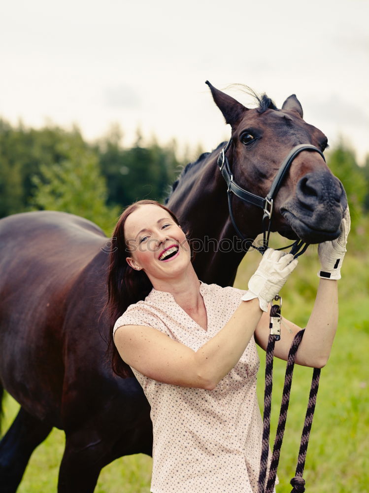 Similar – Image, Stock Photo Thoroughbred Arabian horse enjoys crawling at the neck