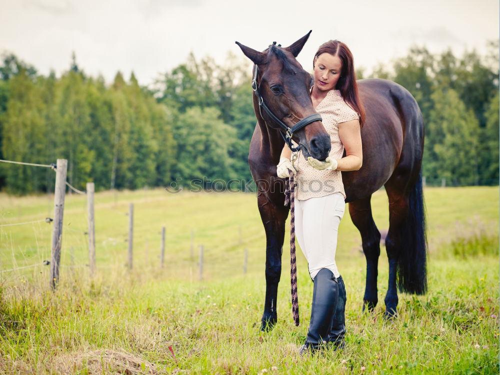 Similar – Image, Stock Photo Beautiful young rider woman with horse in nature. Love and friendship between man and animal. Portrait in landscape near horse stable of riding farm with riding school or farm with pet for hobby riding.