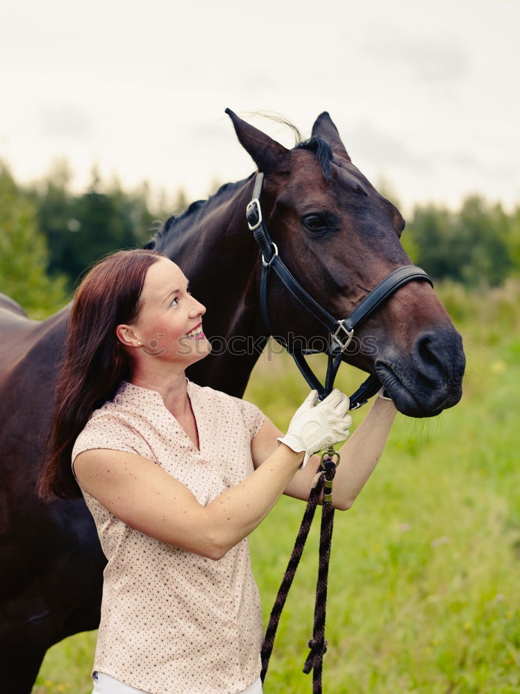 Similar – Image, Stock Photo Thoroughbred Arabian horse enjoys crawling at the neck