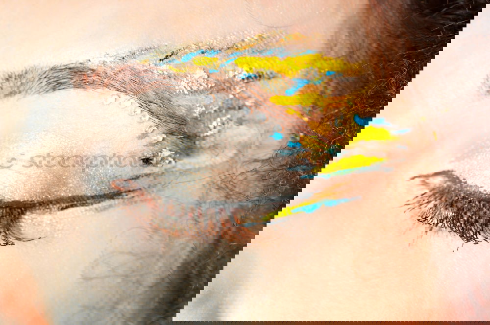 Similar – Image, Stock Photo That’s Germany???? Flag