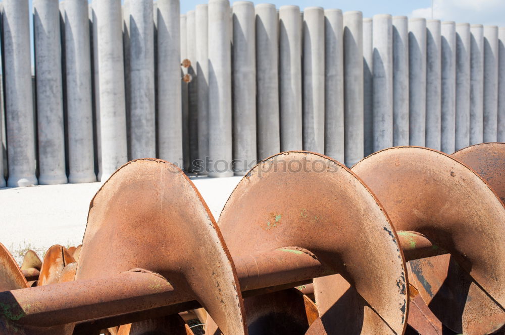 Similar – Image, Stock Photo tender feet Animal