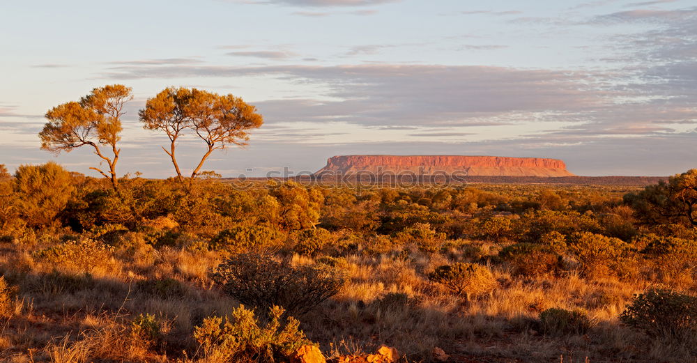 Similar – Image, Stock Photo Australia