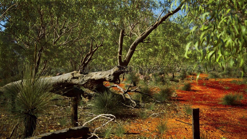 Similar – forest bench Well-being