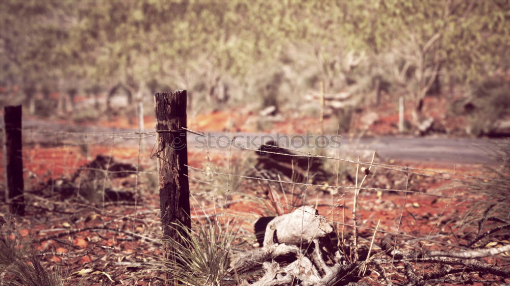 Similar – fence Fence Barbed wire