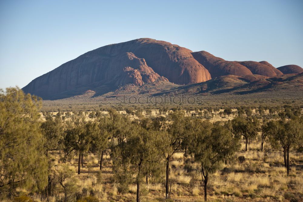 Similar – Image, Stock Photo Australia