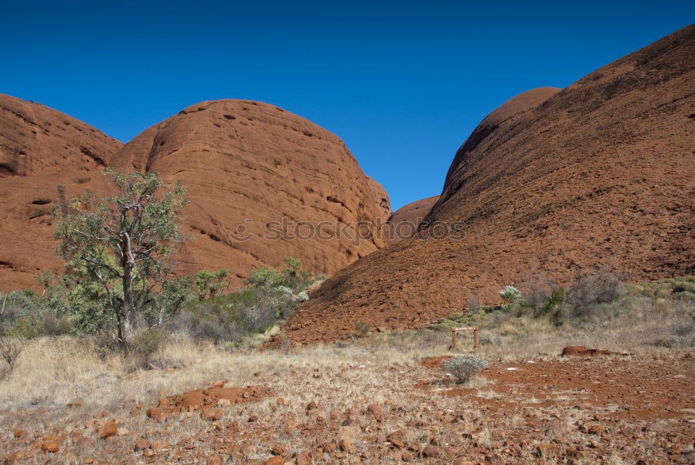 Similar – Image, Stock Photo walking free Nature