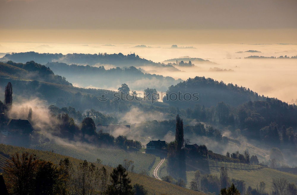 Similar – Image, Stock Photo Sunset in the fog Nature