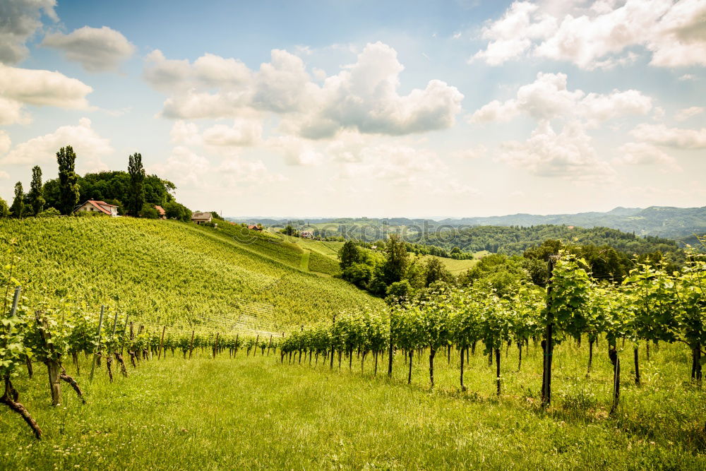 Similar – View of Vienna Environment