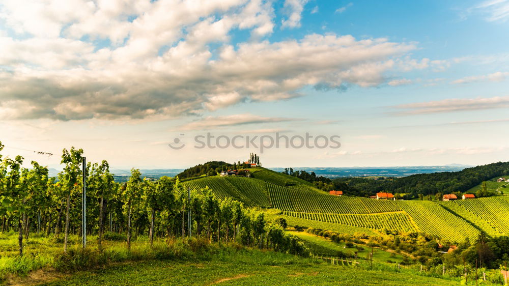 Similar – Image, Stock Photo Vine Panorama in the Ortenau near Oberkirch, Black Forest