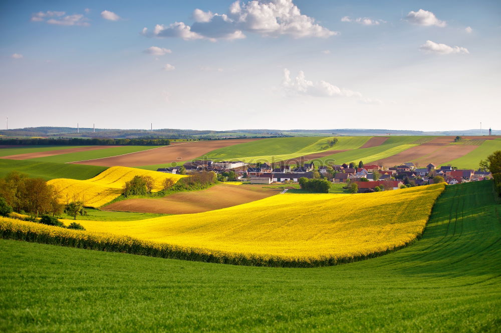 Austria spring green and yellow colza fields. Village on hills.