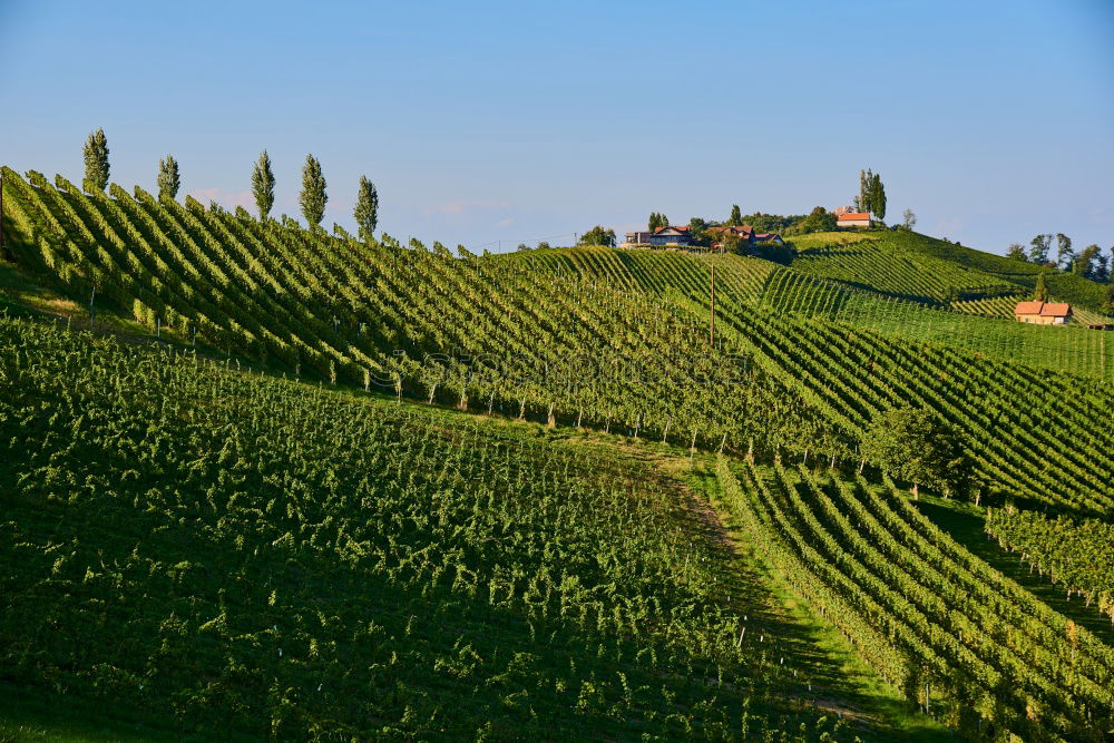 Similar – Kaiserstuhl