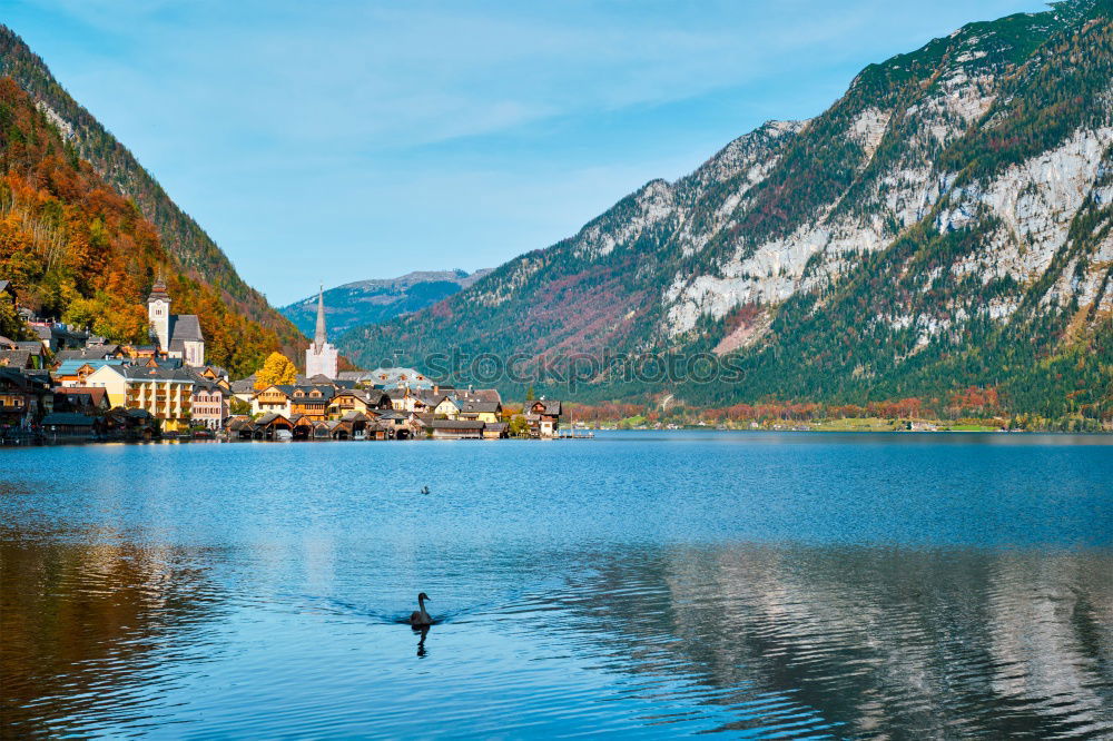 Similar – Image, Stock Photo District of Hohenschwangau and its castles