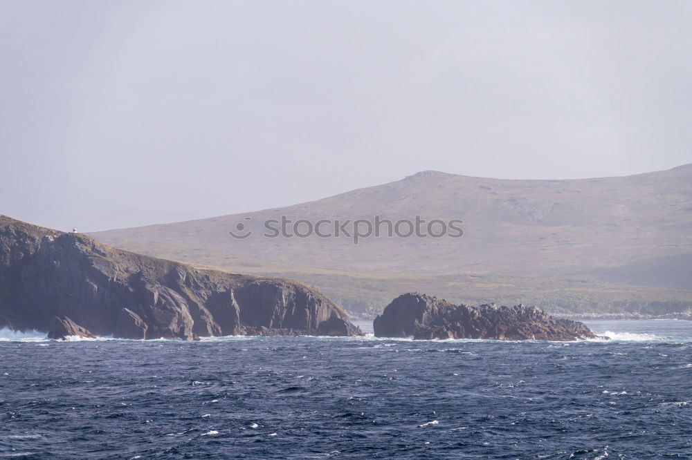 Similar – Image, Stock Photo He touched Bo! Nature