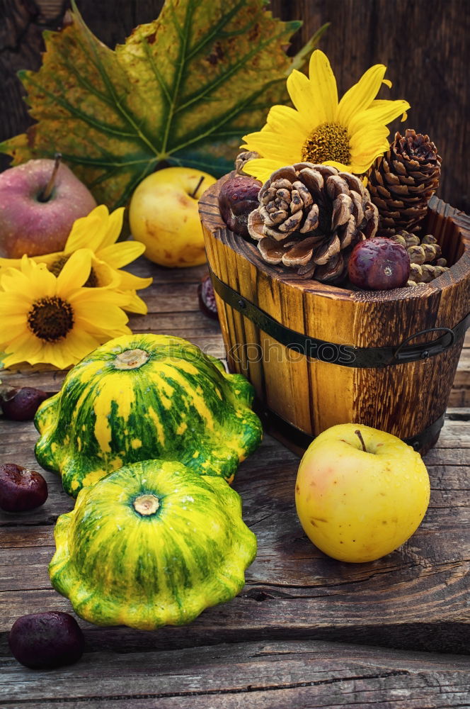 Similar – Autumn decoration with pumpkin, rose hip and coloured foliage