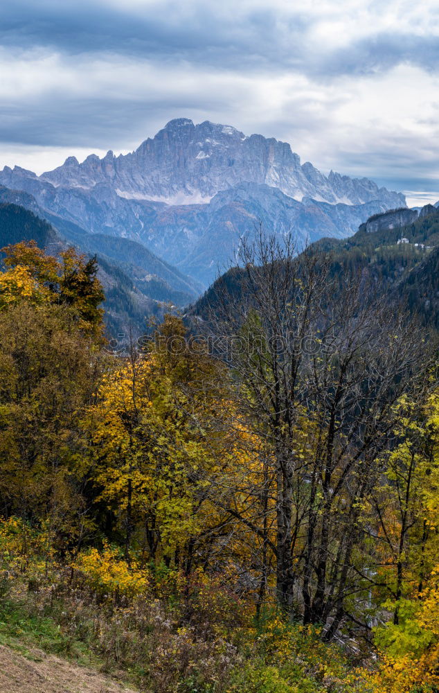 Image, Stock Photo Eagle’s Nest Landscape