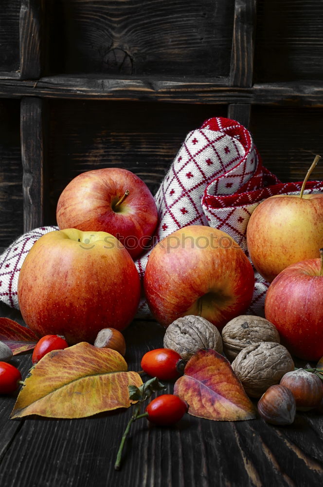 Similar – Autumn decoration with pumpkin, rose hip and coloured foliage