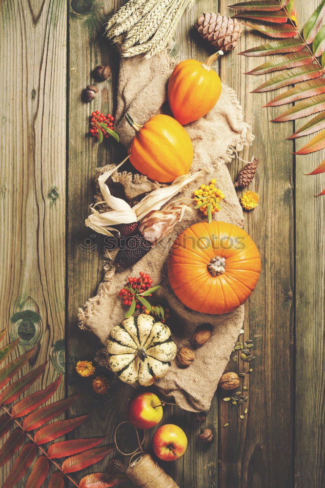 Similar – top view of cozy autumn breakfast on table