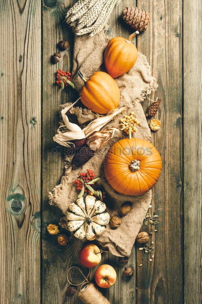 Similar – Image, Stock Photo fall at country house. Seasonal rustic decorations