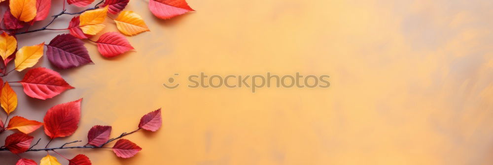 Similar – Image, Stock Photo naptime Woman Sleep Siesta