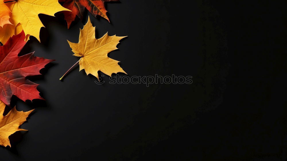 Similar – Gutes Blatt Herbst