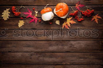 Similar – Image, Stock Photo fall at country house. Seasonal rustic decorations