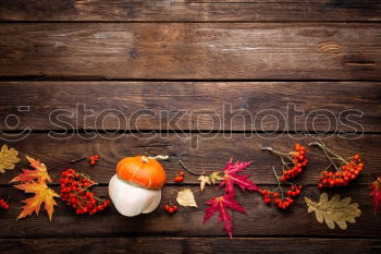 Similar – Image, Stock Photo Autumn decoration handicraft