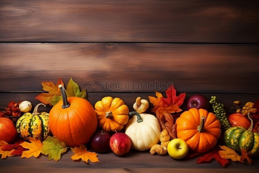 Similar – Pumpkin on herb leaves