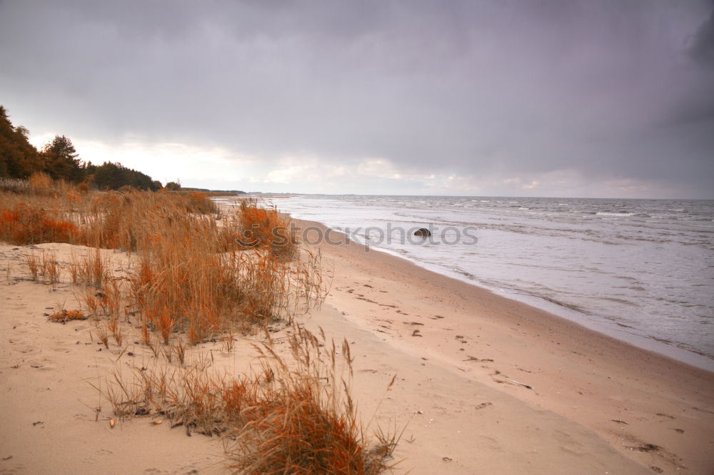 Similar – Heiligendamm Nature