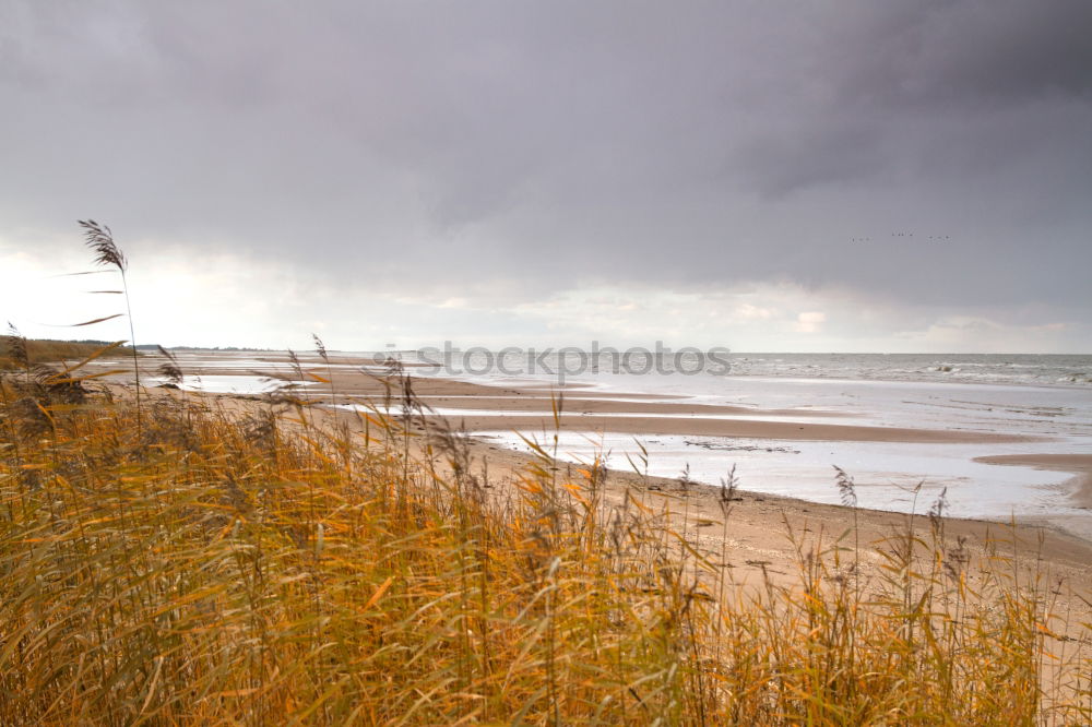 Similar – Heiligendamm Nature